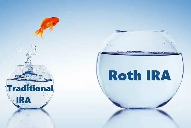 1592829658979 E1732034478656